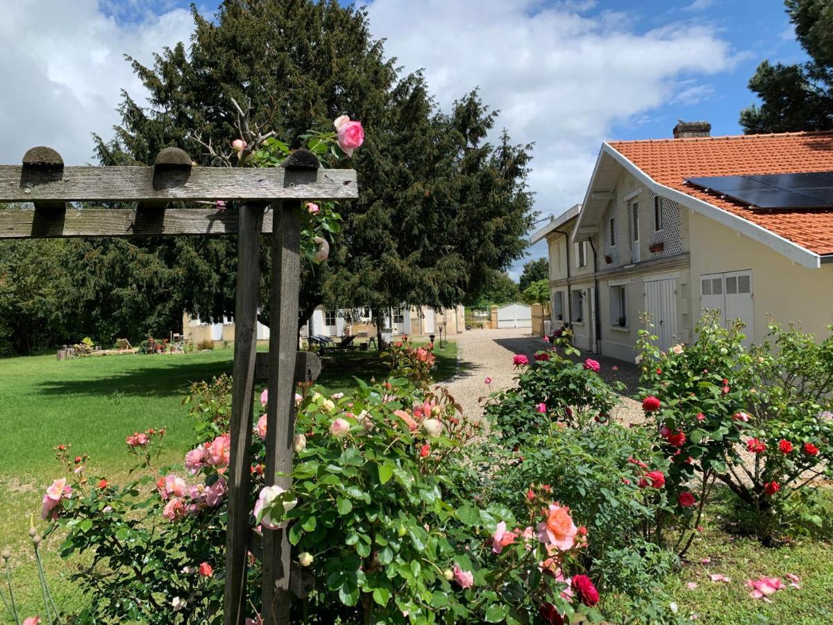 Ambares-et-LagraveBatisse En Pierre XVII Siecle 115 M² Avec Terrasse别墅 外观 照片